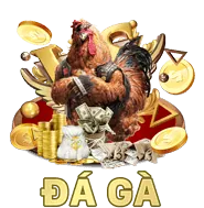 Tăng Cường Trải Nghiệm