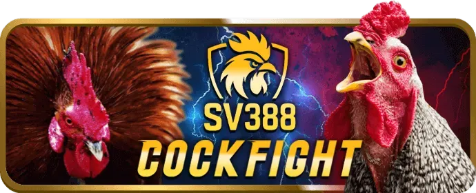 Bước 4: Nhận phần thưởng